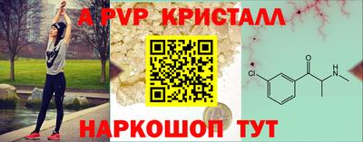 СК Сланцы