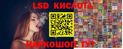 СК Сланцы