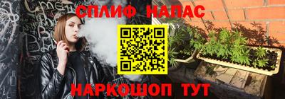 СК Сланцы