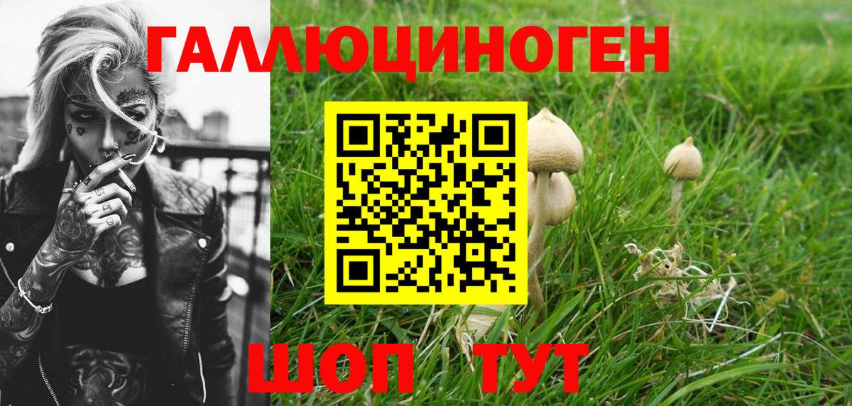 Псилоцибиновые грибы Psilocybe  купить  цена  Орск  Псилоцибиновые грибы Magic Shrooms  Вход с VPN 